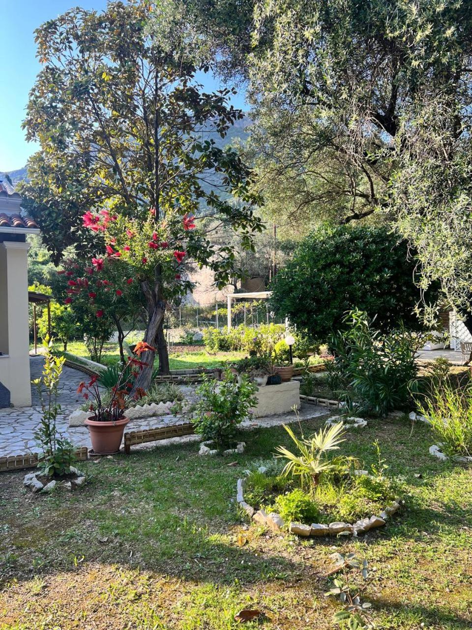 Daire Kineri House Paleokastritsa